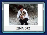 ZIMA 042